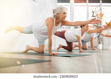 Mature women pushing-up and being on hands and feet with straight body while practicing Plank Pose or Makara Adho Mukha in fitness center - Powered by Shutterstock