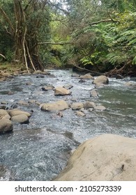 Maui Hikes Near The Water