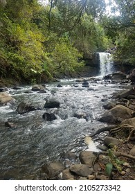 Maui Hikes Near The Water