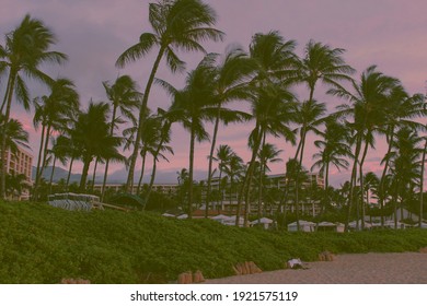 Maui Palms At Wailea Beach