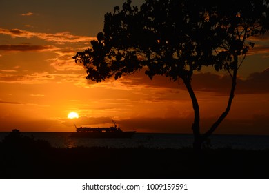 A Maui Sunset With A Beautiful Tree In The Foreground As A Party Boat Cruises By