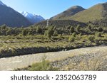 Maule river streaming during the winter (Chile, Andes pre-cordillera mountains) 