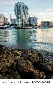 Maurice Gibb Memorial Park Cityscape