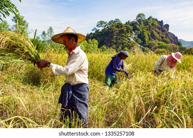 13,262 Myanmar farming Images, Stock Photos & Vectors | Shutterstock