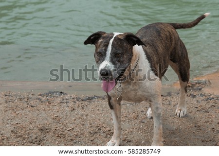 Max