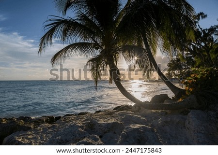 Maxwell Beach, Christ Church, Barbados, West Indies, Caribbean, Central America