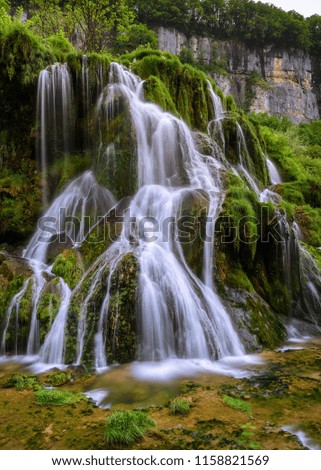 Image, Stock Photo Tobera Beautiful