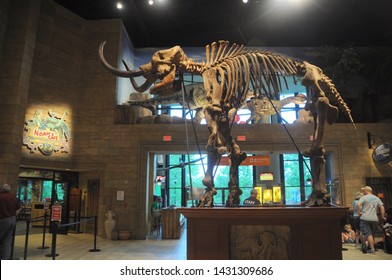 May 29, 2016, Petersburg, KY, Mastodon fossil bones skeleton on display at the entrance to the Creation Museum