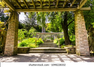 San Francisco Botanical Garden Images Stock Photos Vectors