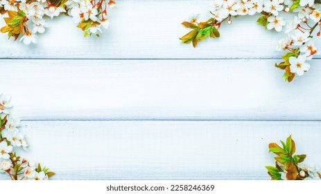 May flowers spring blossom. April floral nature blooming tree on wooden background. Easter Sunny day. Orchard abstract blurred background. Springtime. - Shutterstock ID 2258246369