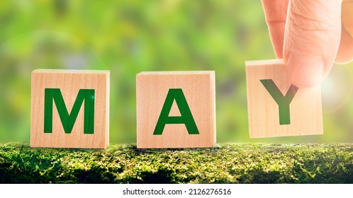 May - The Word On Cubes On A Green Flowering Background In The Forest. May Weather And Flowering Of Green Foliage, Nature Blossoms And Green Buds On Trees, Summer Will Come Soon