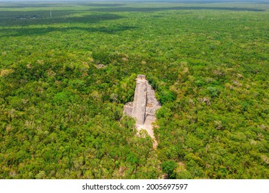 Maya pyramid and temple in national park Tikal in Guatemala at the jungle. Aerial view.