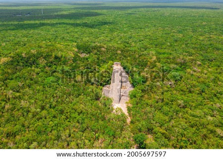 Maya pyramid and temple in national park Tikal in Guatemala at the jungle. Aerial view.