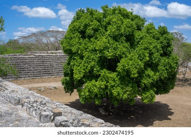Dzibilchaltún a Mayan archaeological site near Mérida, Yucatán, Mexico - Shutterstock ID 2302474195