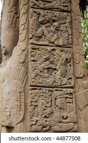 Mayan Hieroglyphs On A Stela At Quirigua In Guatemala