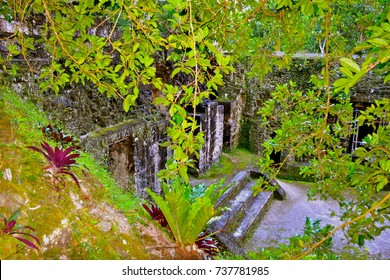 Mayan Ruins In Tikal National Park