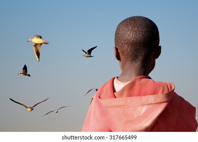 Maybe one day I'll be able to fly - An African child watch the seagulls flying as a metaphor for a flight that will take him away from Africa - Shutterstock ID 317665499
