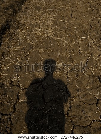 Maybe soon I will experience a phase where loneliness eats away at my happiness, slowly but surely...