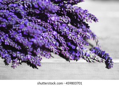 Mayfield Lavender Farm In England