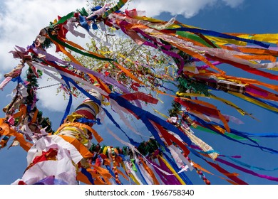 Maypole, birch decorated with colorful ribbons. 
