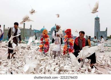 Mazar-i-Sharf Afghanistan - Yune 11, 2011: Afghan People And White Doves Near Blue Mosque In Mazar-i-Sharf City