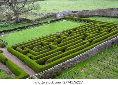 A Maze made of hedges 