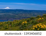 McCall Point Hike, Columbia River Gorge