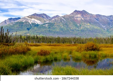 McCarthy Road view, McCarthy valley, Wrangell St. Elias National Park, Alaska. Meadow and mountains.
