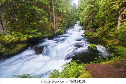 The McKenzie River Flows Through