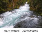 McKenzie River, Three Sisters Wilderness, Cascades Range, OR, USA