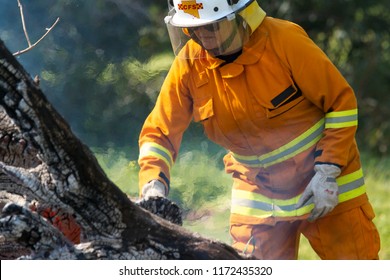 McLAREN VALE, SOUTH AUSTRALIA, AUGUST 2018; A Volunteer Firefighter From The Country Fire Service Participates In A Burn Off In Preparation For The Coming Summer Fire Season.