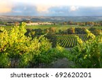 McLaren Vale, South Australia
Wine region