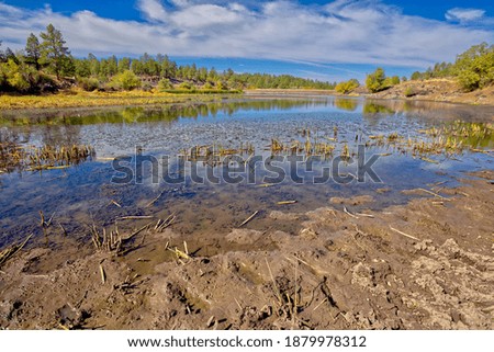 Similar – Image, Stock Photo Old water reservoir Plant