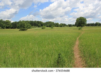Meadow