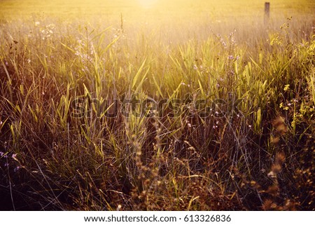 Similar – Foto Bild Die angenehme Stimmung der Natur