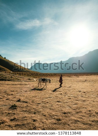 Meadow at Bromo Mountain, East Java, Indonesia.