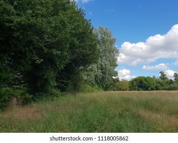 Meadow In Burwell Cambridgeshire