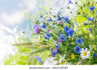 Meadow colorful flowers  outdoors in sunny day on bright nature background, vivid wild flowers in meadow in countryside  in summertime, close up view