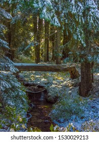 Meadow Creek, Gifford Pinchot National Forest, Washington