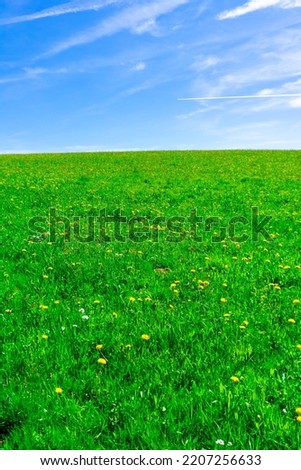 Image, Stock Photo Flax field in France