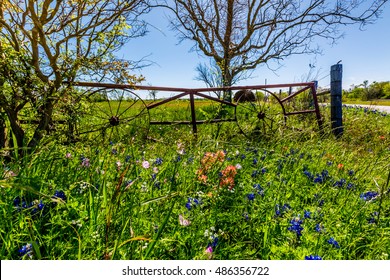 A Meadow At A Farm Or Ranch With Wagon Wheel Iron Gate And Dry Round Hay Bales Of Texas Grasses Used To Feed Cattle Near Various Fresh Texas Wildflowers.