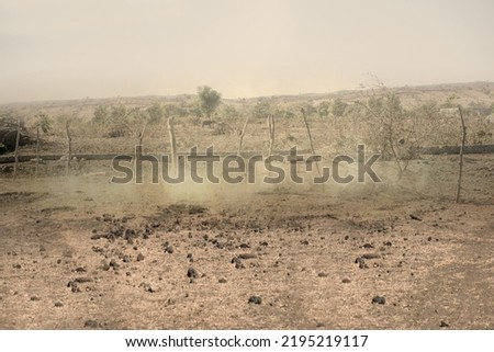 Meadow field with trees and dramatic background