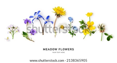 Meadow flower border and creative layout. Daisy, cardamine, dandelion, scilla, clover, buttercup and viola flowers set on white background. Design element. Springtime concept. Top view, flat lay 