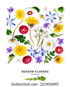 Meadow Flower Creative Pattern. Daisy, Cardamine, Dandelion, Scilla And Viola Flowers With Leaves On White Background. Design Element. Springtime And Summer Concept. Top View, Flat Lay 