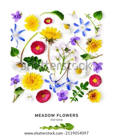 Meadow flower creative pattern. Daisy, cardamine, dandelion, scilla and viola flowers with leaves on white background. Design element. Springtime and summer concept. Top view, flat lay 