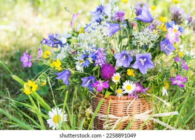 Meadow flowers bouquet in wicker mug on nature background outdoors in natural morning light, still life with vivid wild flowers in background of nature in summertime, close up view - Powered by Shutterstock