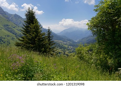 Meadow flowers and distant valley and mountains around Col de la Forclaz France
