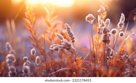 meadow flowers in early sunny fresh morning. Vintage autumn landscape background. colorful beautiful fall flowers magical - Shutterstock ID 2321178453
