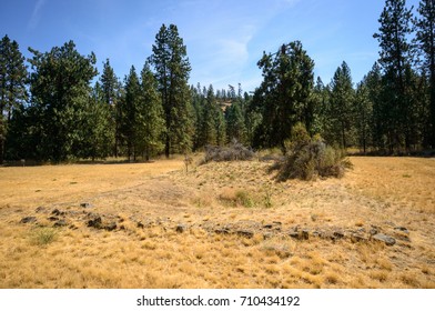 Meadow at Fort Spokane in Lake Roosevelt National Recreation Area - Shutterstock ID 710434192