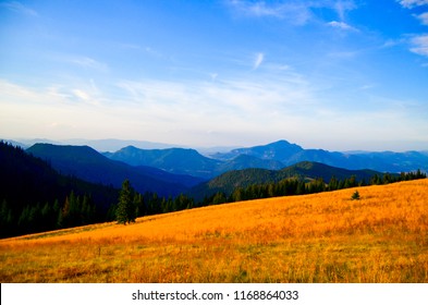 Meadow of Great Fatra